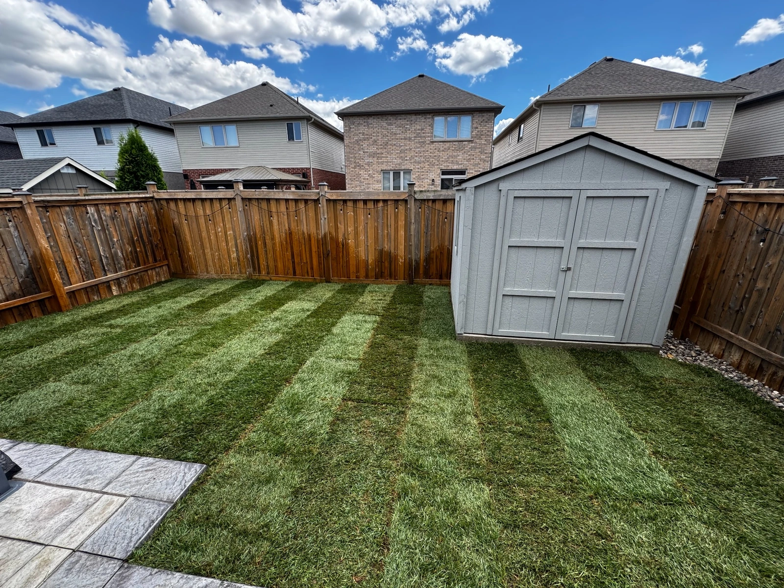 Fresh backyard sod installation