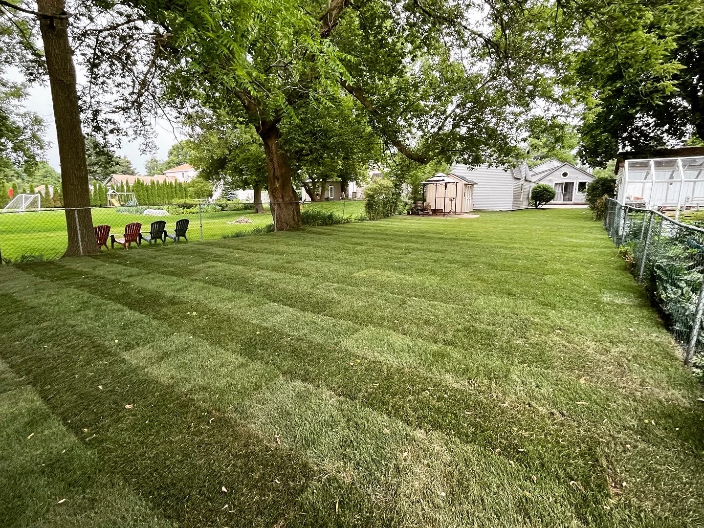 Maintained residential lawn
