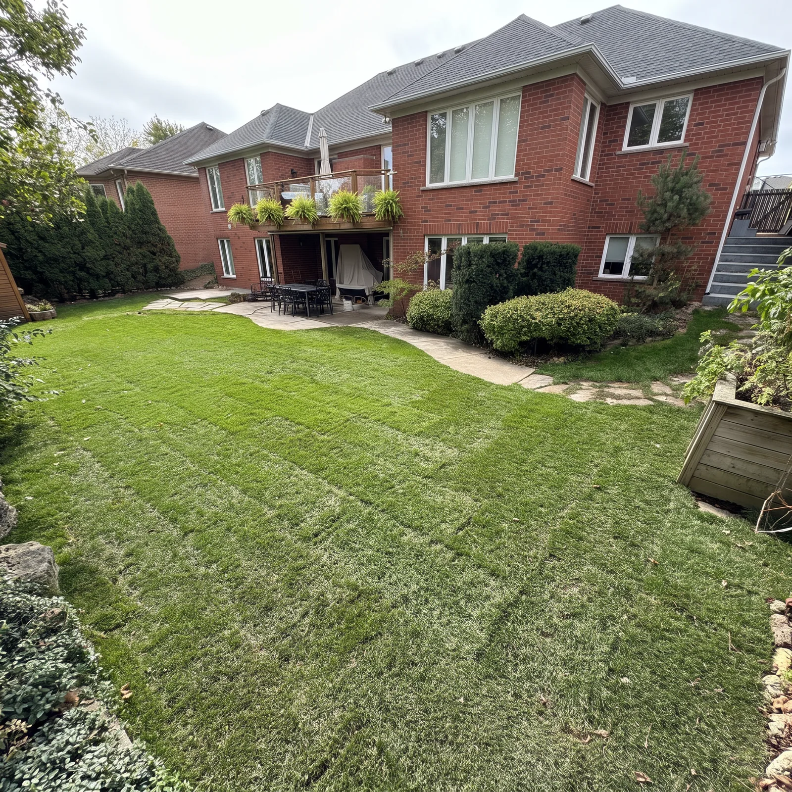 Backyard landscaping