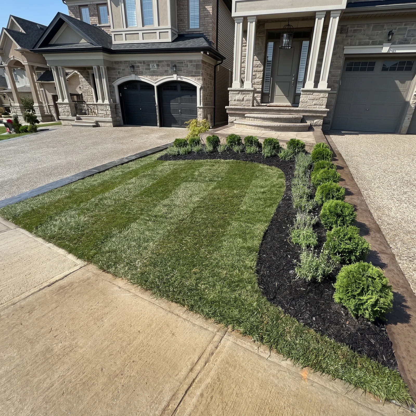 Front yard landscaping