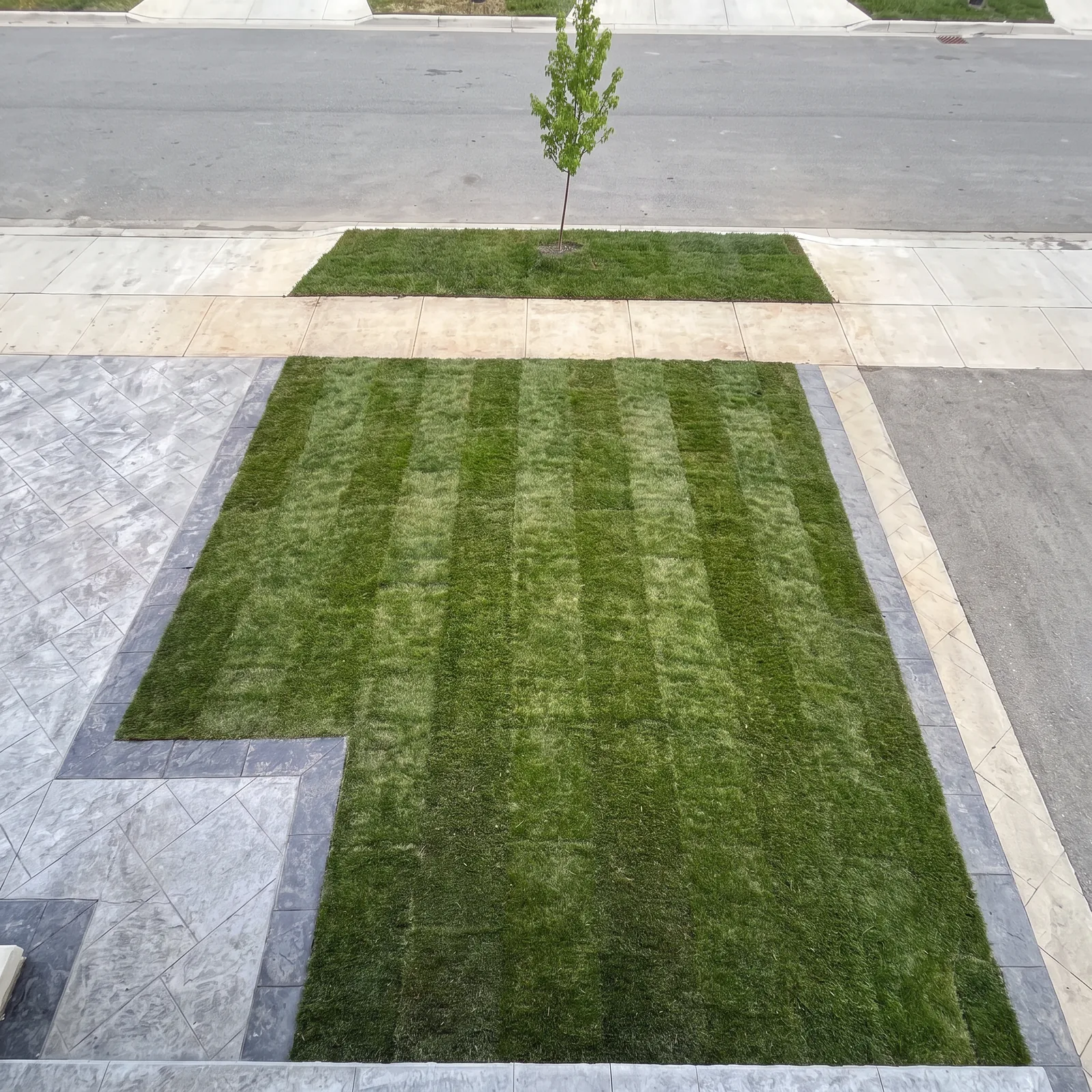 Sod and hardscape project